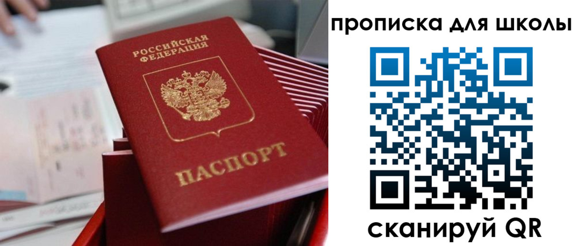 прописка для школы в Шали